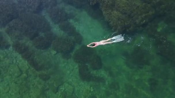 Serbest Dalış Yüzgeçli Bir Kadın Denizde Şnorkelle Yüzüyor Hava Görünümü — Stok video