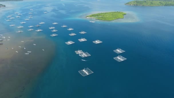 Rybářské Lodě Oceánu Ostrově Sumbawa Letecký Pohled — Stock video