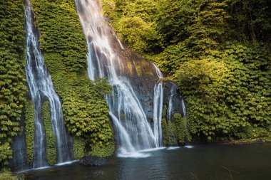 Tropikal yağmur ormanlarında, kaya ve kristal göletli bir şelale. Kristal mavi suyu ve tropik gökkuşağı olan manzaralı şelale..