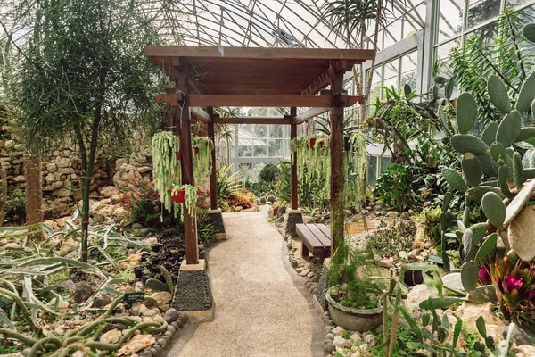 Cactus garden in glass house in botanic garden at Bali