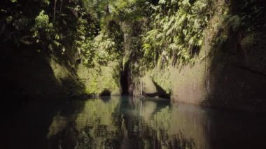 Hawaii 'de berrak su ve yansıması olan kanyon nehri