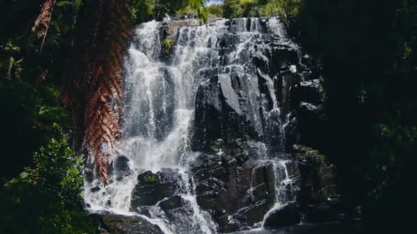 Yağmur Ormanlarında Tropikal Bitkilerle Çağlayan Şelale — Stok video