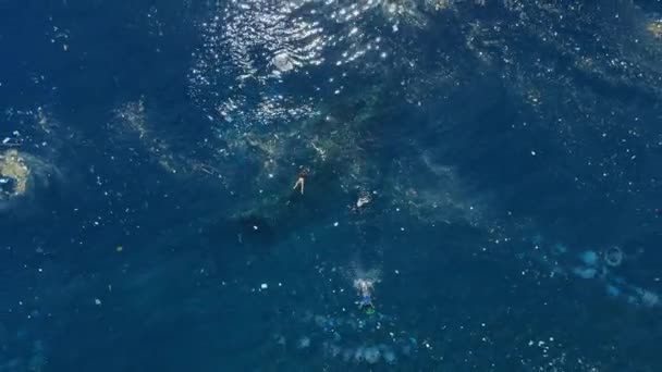 巴厘岛图兰本的自由号沉船上 人们在塑料污染中游泳 旅游业和生态问题 — 图库视频影像
