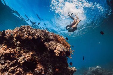 Maskeli kadın tropikal mavi denizde mercanların derinliklerine daldı. Hawaii 'de bir kadınla şnorkelle yüzmek.