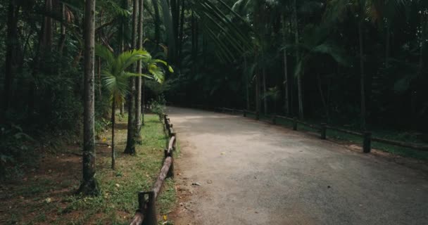 Weg Mit Tropischen Exotischen Bäumen Stadtpark Corrego Grande Florianopolis — Stockvideo