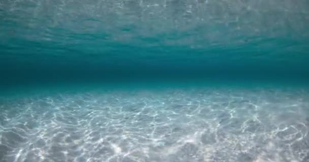 Niebieski Przezroczysty Ocean Piaskiem Falami Pod Wodą Hawajach — Wideo stockowe
