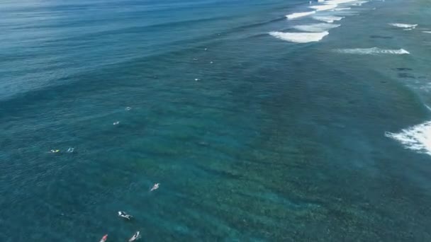 Aerial View Ocean Waves Surfers Line Bali — Stock Video