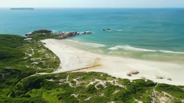 Διακοπές Γραφική Παραλία Και Τον Ωκεανό Κύματα Στη Βραζιλία Αεροφωτογραφία — Αρχείο Βίντεο