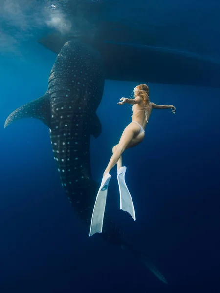 Tiburón Ballena Mujer Joven Con Aletas Océano Azul Tiburón Bajo — Foto de Stock