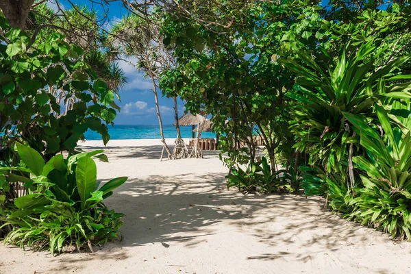 奢华的海滩 热带植物 沙滩和宁静的大海 热带假日横幅 — 图库照片