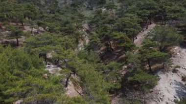 Deniz kıyısındaki dağdaki çam ağaçlarının hava manzarası. Akdeniz 'de yaz günü
