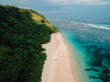 Bali adasında yeşil kayalıkları ve okyanusu olan tropik bir sahil şeridi. Tatil plajının havadan görünüşü