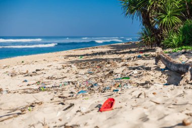 Tropik okyanus sahilleri ve Bali adasındaki plastik çöpler. Kıyı şeridindeki plastik çöplerin kirliliği