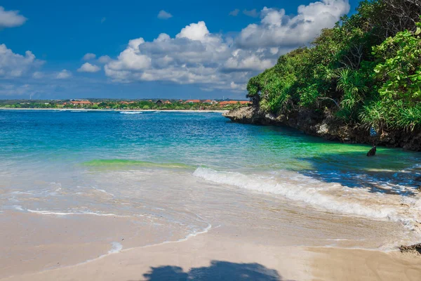 Tropisk Semester Banner Stranden Med Tropiska Träd Sand Och Hav — Stockfoto