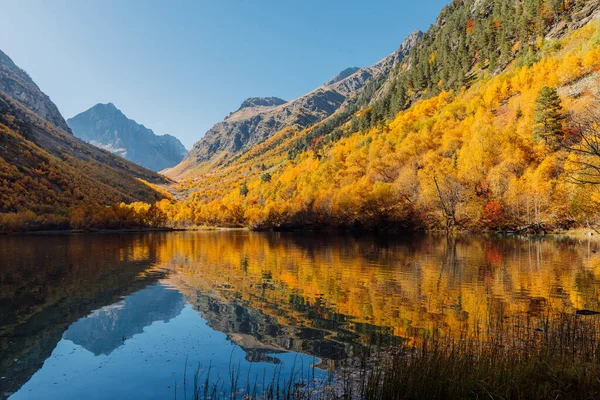 Horské Jezero Odrazem Vodě Barevnými Podzimními Stromy — Stock fotografie