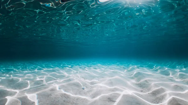 Oceano Com Fundo Areia Ilha Das Bahamas Fundo Subaquático Panorâmico — Fotografia de Stock