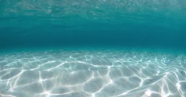 Océano Azul Cristalino Con Arena Blanca Olas Bajo Agua Hawaii — Vídeo de stock