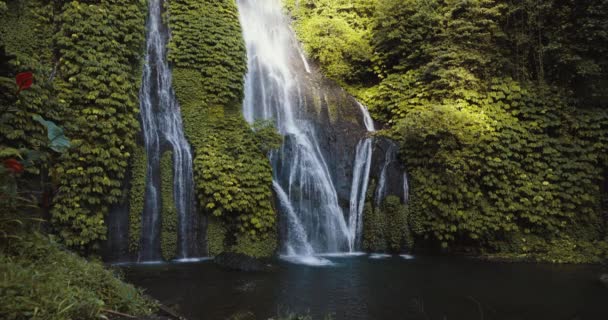 Vattenfall Med Kraftfullt Flöde Bali Indonesien Tropisk Natur Och Vattenfall — Stockvideo