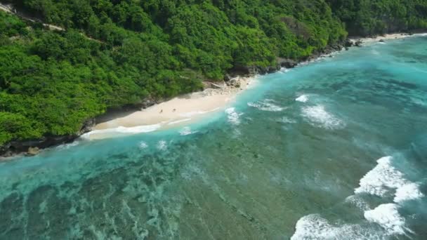 Τροπική Παραλία Ζωντανό Ωκεανό Και Κύματα Στο Νησί Μπαλί Αεροφωτογραφία — Αρχείο Βίντεο