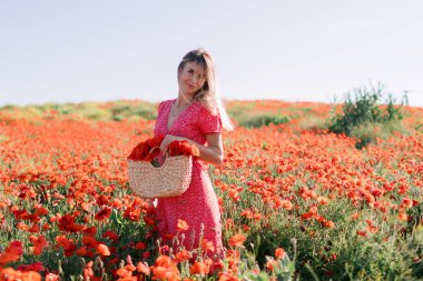 Çiçekli haşhaş tarlasında çekici beyaz kadın. Kırmızı elbiseli ve kır çiçekli saman çantalı güzel kadın.