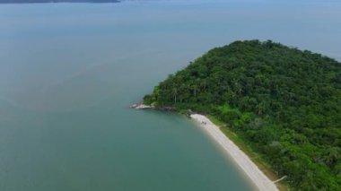 Brezilya 'da tropikal ormanı ve plajı olan okyanus kıyısı, Florianopolis. Hava görünümü