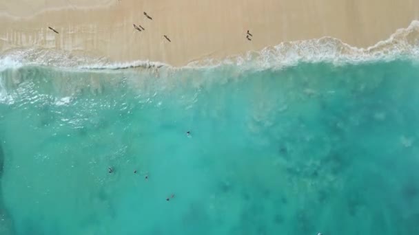 Turkuaz Okyanuslu Kumsal Güneşli Bir Günde Yürüyen Insanlar Hava Görüntüsü — Stok video
