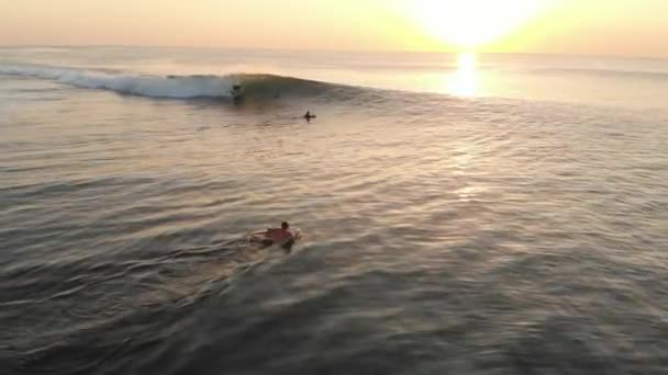 Surfista Paseo Barrica Ola Oceánica Surfeando Olas Perfectas Con Luz — Vídeo de stock