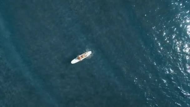 Vue Aérienne Surfeuse Sur Longboard Dans Océan Bleu Surfer Sous — Video