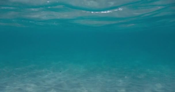 Blauwe Oceaan Water Achtergrond Onder Water Hawaï — Stockvideo