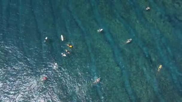 Luchtfoto Met Surfers Lijn Tropische Oceaan Perfecte Golven Surfers Transparante — Stockvideo
