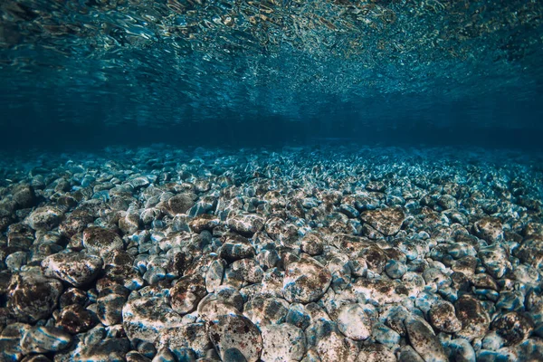 Unterwasserszene Mit Steinboden Und Spiegelung Der Oberfläche Ozean — Stockfoto