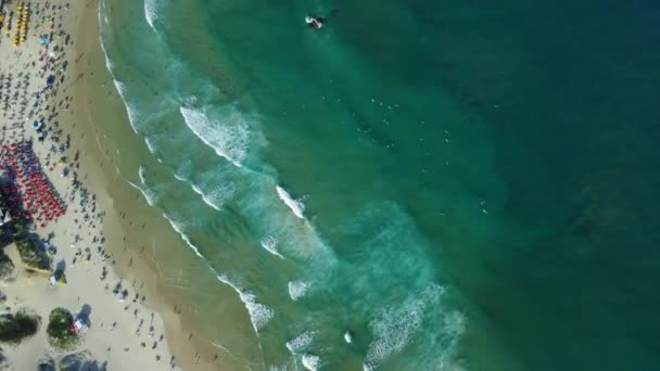 Plaża Wakacyjna Ocean Falami Brazylii Widok Lotu Ptaka — Wideo stockowe