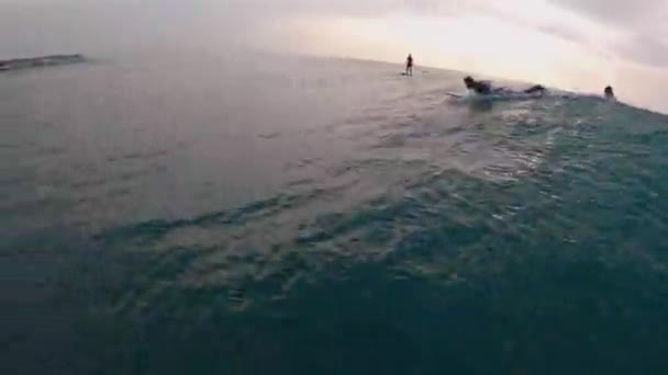 Surfer Kombinezonie Desce Surfingowej Widok Pierwszej Osoby Surfing Oceanie — Wideo stockowe