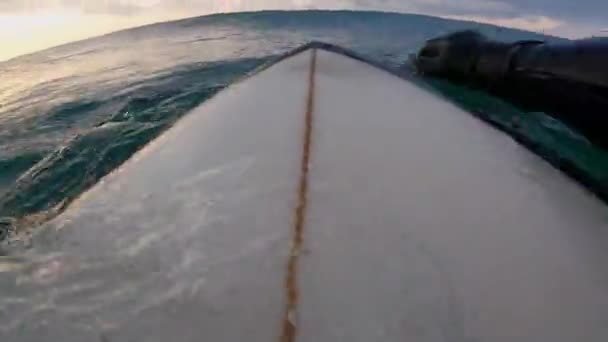 波に乗ってサーフボードに乗るウェットスーツのサーファー 海でのサーフィンの第一人者ビュー — ストック動画