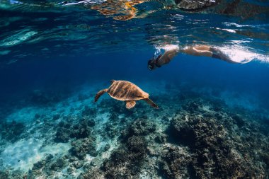 Kadın serbest dalgıç şeffaf okyanusta deniz kaplumbağasıyla yüzüyor.