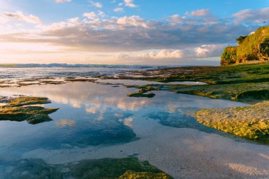 Kayalık ve okyanus alçak gelgitte kıyı şeridinde gün batımı ışığı ile