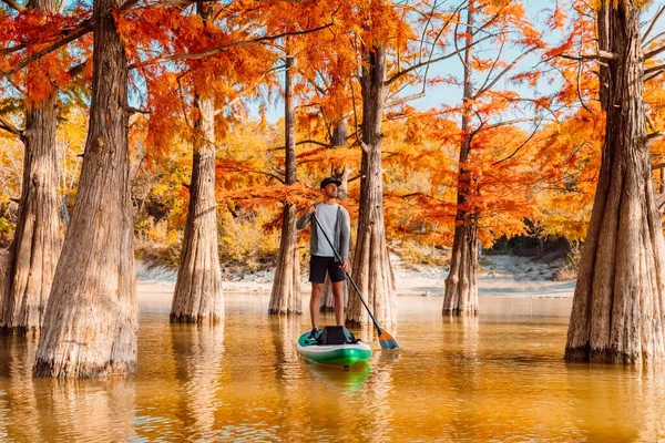 Man Rowing Stand Paddle Board Lake Taxodium Trees — Stock Photo, Image