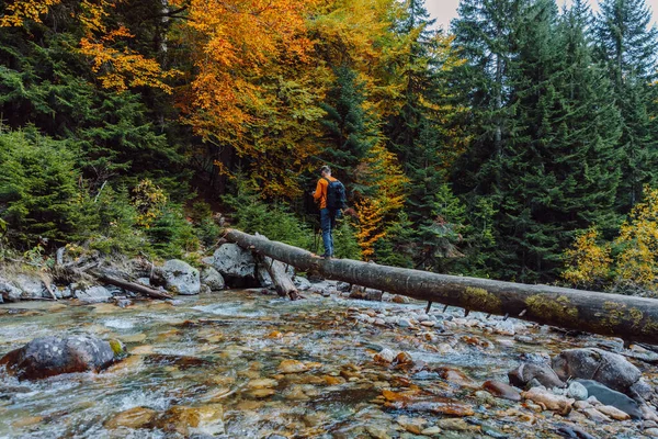 ハイカーは 秋の森の川の上にログの上に マウンテンリバーとハイカー旅行者 — ストック写真