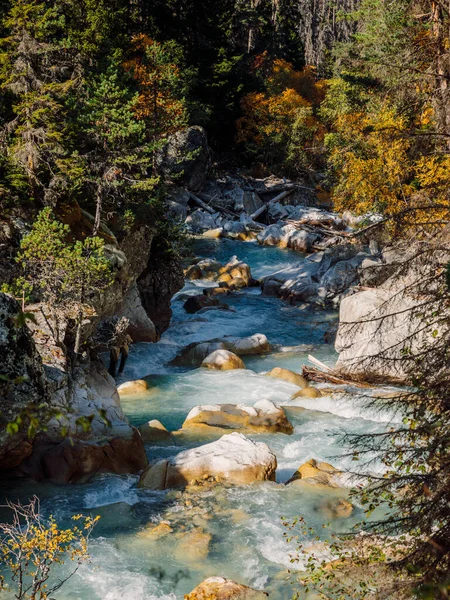 野生の森の中のマウンテンリバー 川と山の風景 — ストック写真