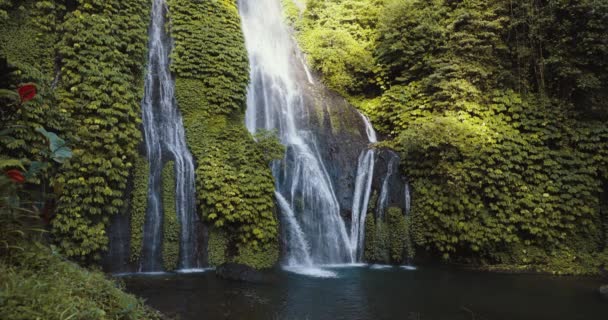 Naturskönt Vattenfall Med Mäktigt Flöde Bali Indonesien Tropisk Natur Och — Stockvideo