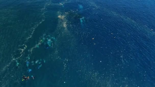 Personas Nadando Buceando Contaminación Plástica Barco Naufragio Liberty Tulamben Bali — Vídeo de stock