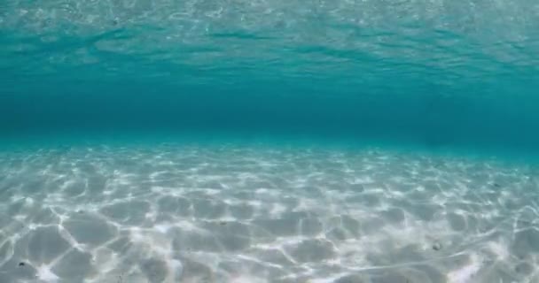 Τροπικός Διάφανος Ωκεανός Αμμώδη Βυθό Και Κύματα Κάτω Από Νερό — Αρχείο Βίντεο