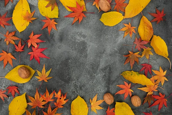 Концепция Дня Благодарения Осень Яркие Листья Орехи Темном Фоне Плоский — стоковое фото