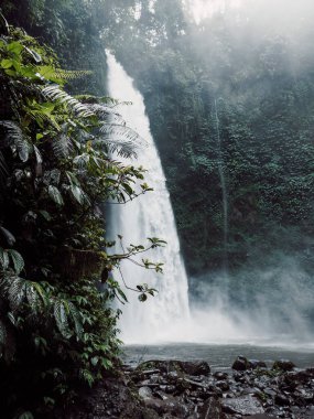 Endonezya, Bali 'de güçlü akışına sahip şelale. Tropikal doğa ve Nungnung şelalesi