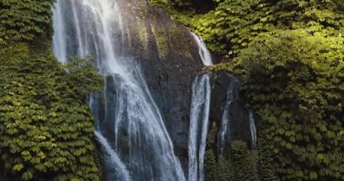 Endonezya, Bali 'de çağlayan şelale. Tropikal doğa ve şelale