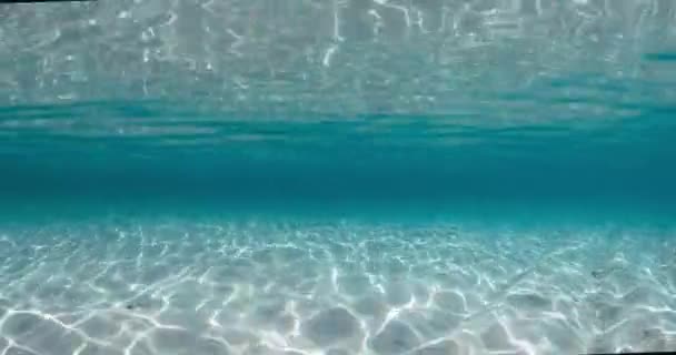 Przezroczysty Ocean Piaszczystym Dnem Morskim Falami Bahamach Widok Podwodny — Wideo stockowe