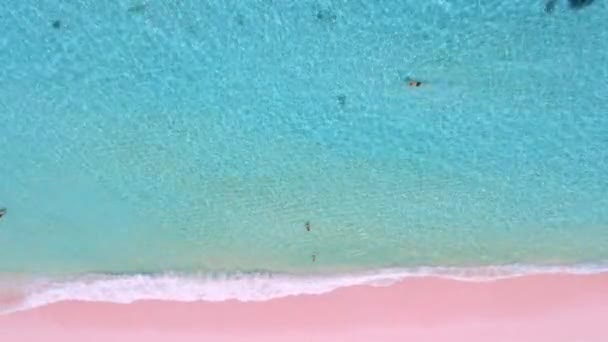 コモド諸島の青い海とピンクのビーチ ピンクの砂のビーチ エアリアルビュー — ストック動画
