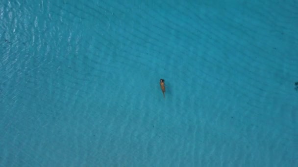 Femme Flottant Dans Océan Bleu Transparent Île Tropicale Vue Aérienne — Video
