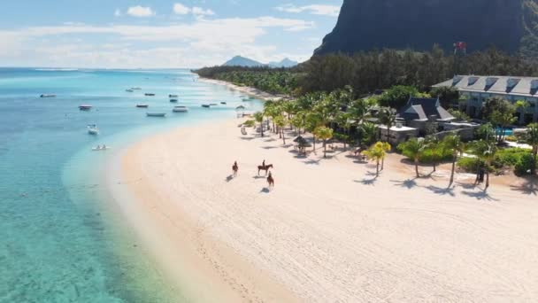 Trópusi Tengerpart Mauritiuson Homokos Strand Tenyérrel Lovakkal Kék Átlátszó Óceánnal — Stock videók