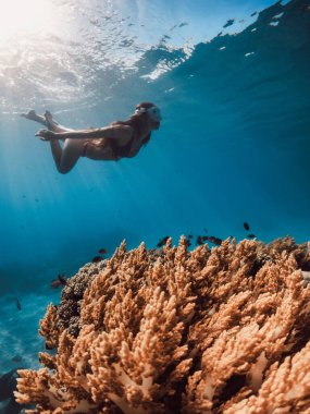 Kadın tropikal mavi okyanusta mercanların yanında su altında yüzüyor. Hawaii 'de bir kadınla şnorkelle yüzmek.